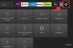 Access Developer Options: Go to My Fire TV